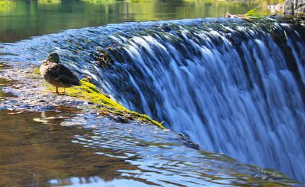 The waterfall in Wisła